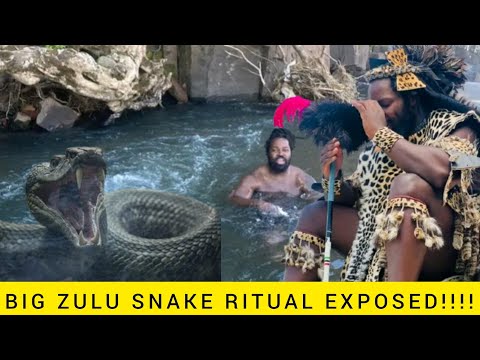 Big Zulu Snake And Ritual Exposed!!!! 😳😳
