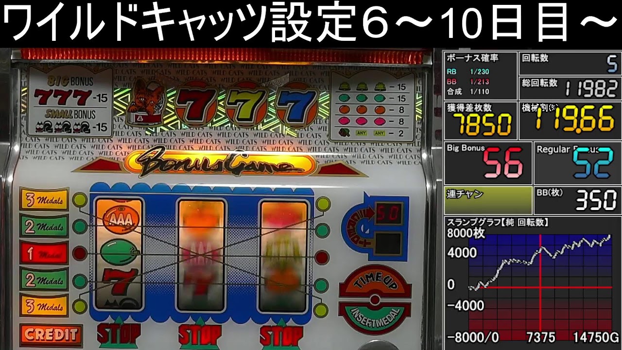 【ワイルドキャッツ】設定６～10日目～