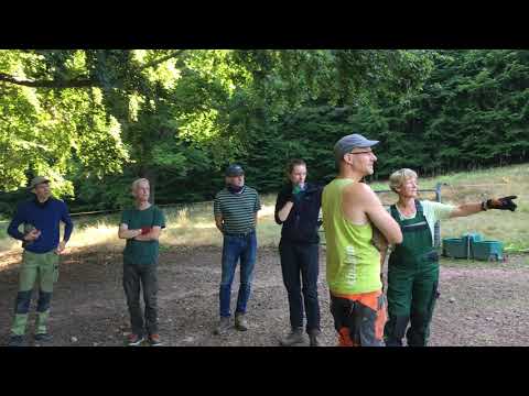 Bergwaldprojekt (17), Homberg, Knüllwald, 08/2020