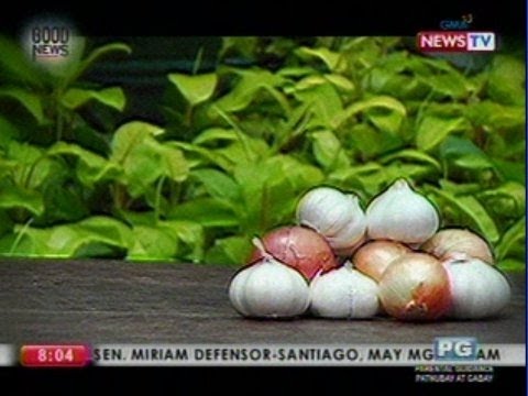 Kung paano upang talunin ang halamang-singaw sa kuko ng kamay Pharmacy Samson Pharma Lotseril presyo