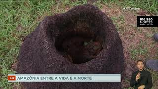 Miniatura do vídeo