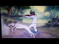 El Zorro Y El Sabueso