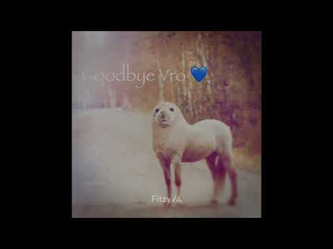 Goodbye Vro 💙