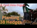 Planting 38 Hedges Using A Giantz 80cc Post Hole Digger Fastest Holes Dug In My Life