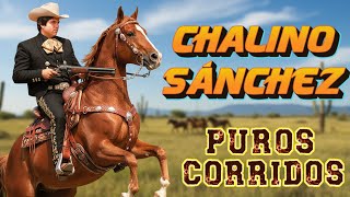 Chalino Sánchez ✨ Sus Mejores Canciones Seleccionadas ✅ Puros Corridos Viejitos 💫
