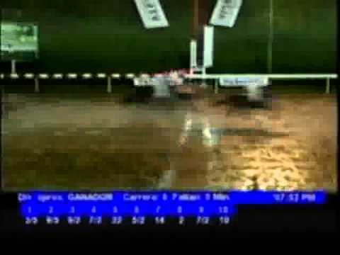 Resumen Jueves, 27 de Octubre de 2011 - Valencia