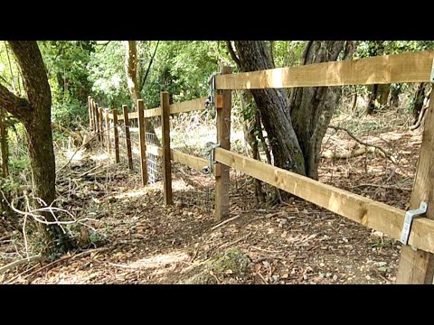 Walking about in New Addington Live! 11/09/2022 - Mobile Stream (358)