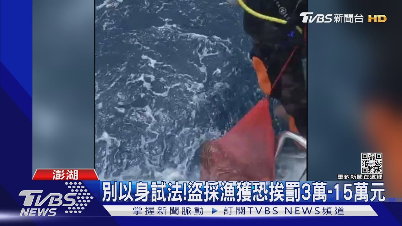 怪怪的!潛水客帶網袋 驚見龍蝦、螃蟹