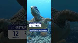 Signature Hawaiian Islands Escape | My Cruises