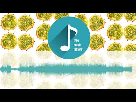 spinmeister - Burning The Micro Waves  | Free Music Factory