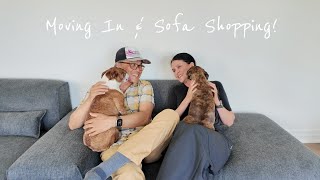 Mobilia or Rove Concepts: Which Sofa is Better
