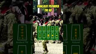 Download lagu Pangkat Perwira TNI AD #tni #tnidihatirakyat #tniad #army #tentara #military mp3