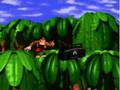 Donkey Kong Country Intro SNES