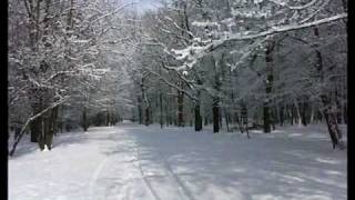 Loreena McKennitt SNOW