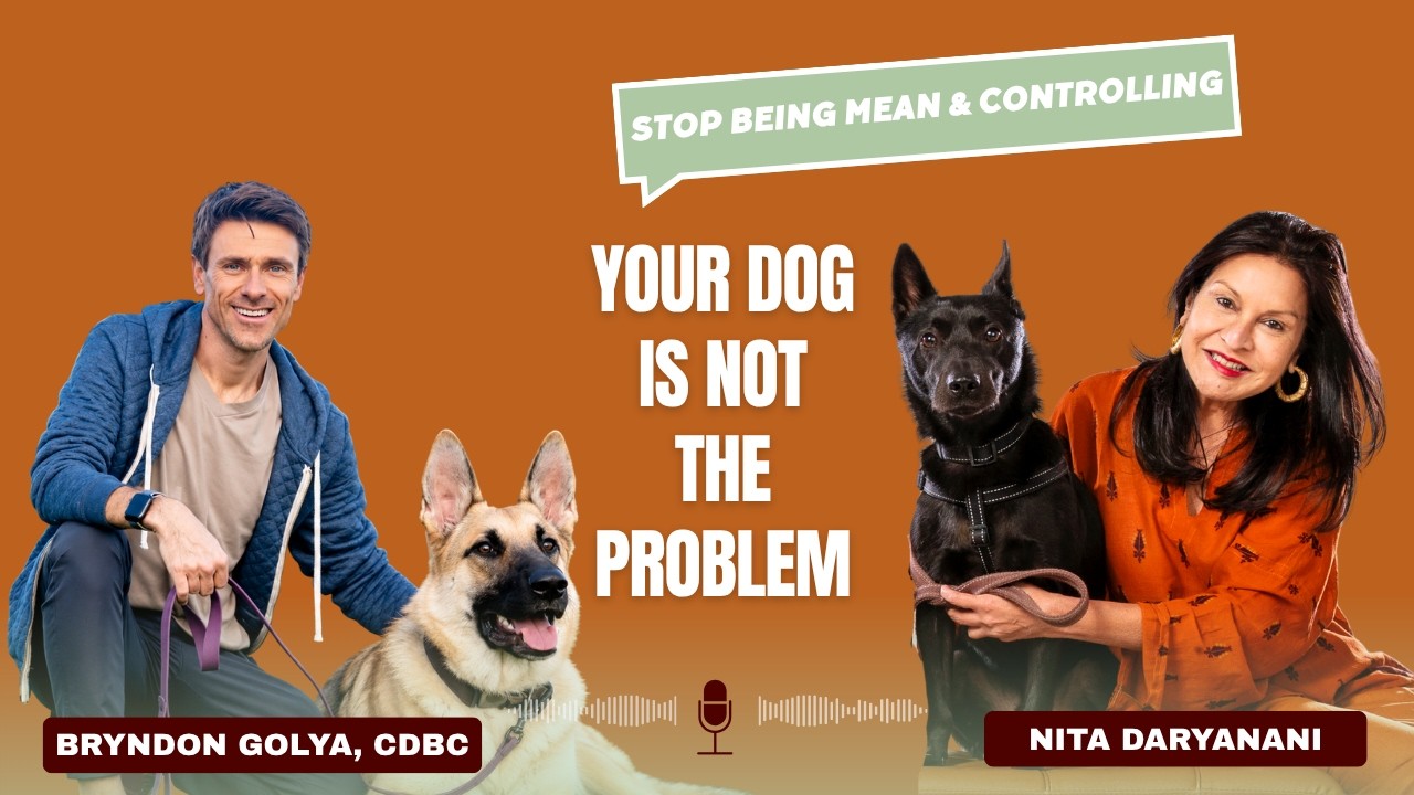 Why Your Dog Misbehaves & What They Actually Need