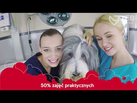 TEB Technikum - Technik weterynarii