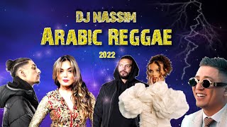 Dj Nassim - Arabic Reggae 2022 | Mashup Video Mix