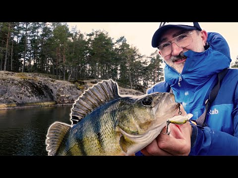 Perch fishing: Tricks for TWITCHING from a boat
