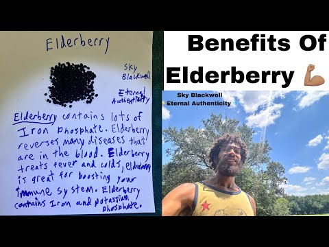 Alkaline Healing Benefits Of Elderberry 🍵 ⚡️💪🏽(Sky Blackwell)