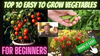 Top 10 Easy To Grow Vegetables For Beginners