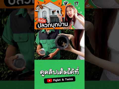 รับมือปลวกบุกบ้าน!!
