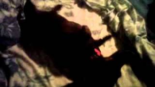 susie comes out of her shell