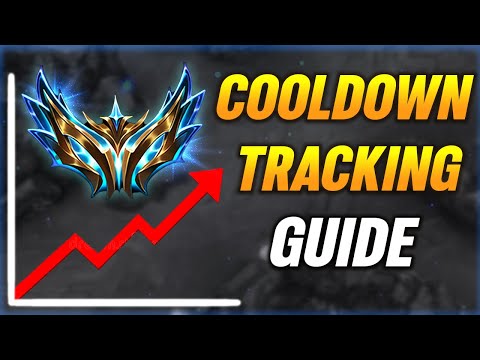 CHALLENGER GUIDE TO COOLDOWN TRACKING | Reptile