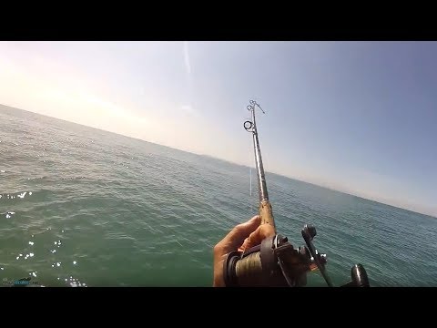 So Many Fishing Tips! (Man empties BRAIN of INFORMATION!!)