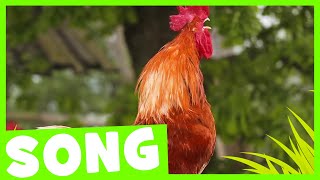 Let's Go to the Farm | Learn Farm Animal Song for Kids
