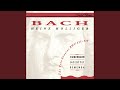 J.S. Bach: Sonata No. 3 In D Minor, BWV 527 - 2. Adagio e dolce