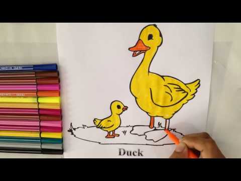 Learn Coloring Duck for kids, Samnang Sok