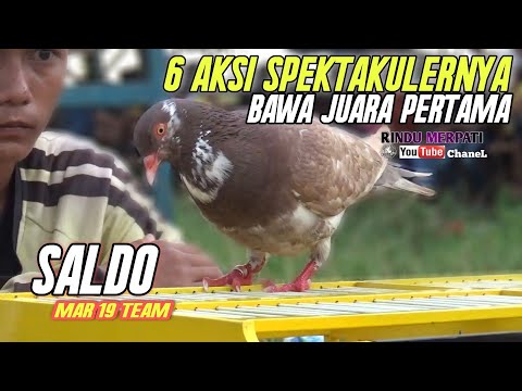 EDISI SPESIAL ; SALDO TIM MAR 19 SANG JUARA PRAMOBIL PPMTKI LAPAK BLIGO PEKALONGAN