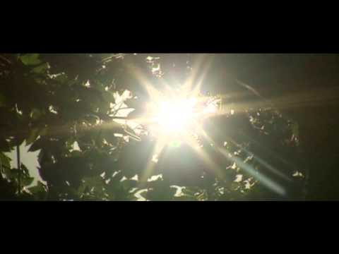 comment prendre smecta