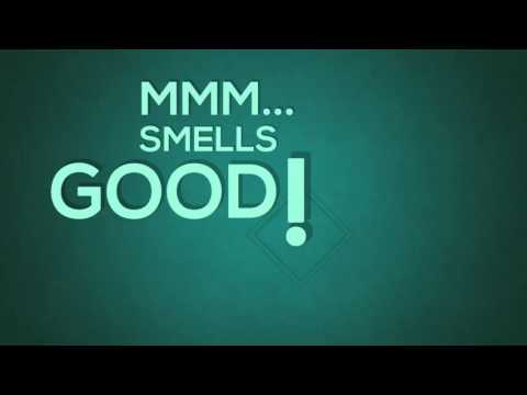 Stryjo: A Vista Social Club - New CDx2 in progress!