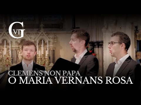 The Gesualdo Six: O Maria vernans rosa - Clemens non Papa