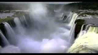 Wild World / Irl edit by Dolbec