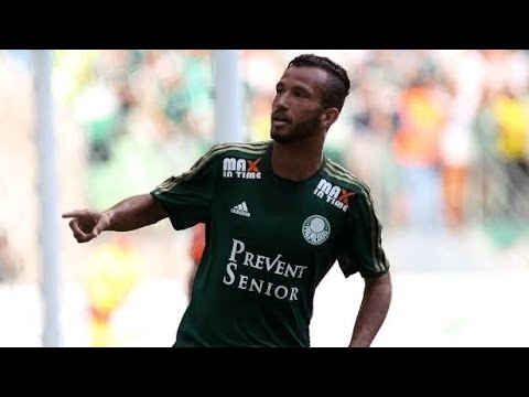 TODOS OS 12 GOLS DE LEANDRO PEREIRA PELO PALMEIRAS