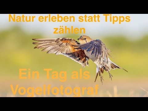 Ein Tag als Vogelfotograf in Spanien - Natur erleben statt Tipps zählen