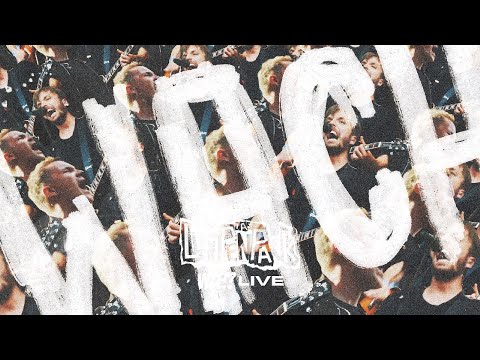 Das Lumpenpack - WZF?! (Live)