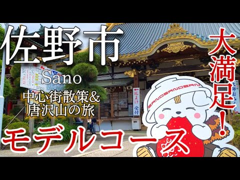【栃木】佐野市ひとり旅〜佐野観光！中心街散策と唐沢山でご利益巡り＆佐野ラーメンを堪能✨モデルコース〜