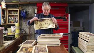 Hive Life Photos