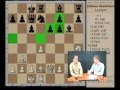 La défense Scandinave - Leçon d'échecs 