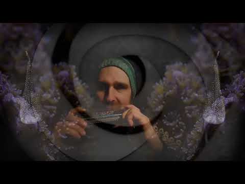 Canto de armónica - Yagé Ayahuasca - "La vida es un milagro"