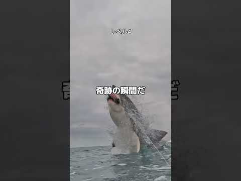 これ最後まで見れる奴いるの？