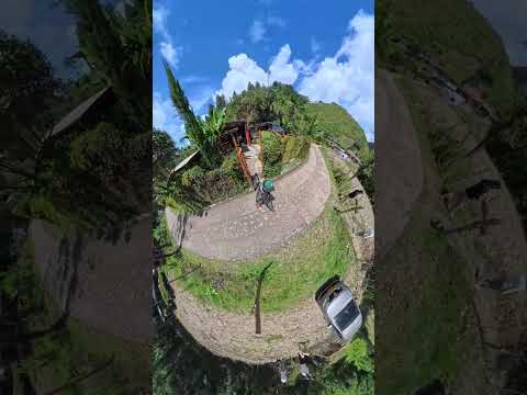 GANZOS VOLADORES - Montebello Antioquia
