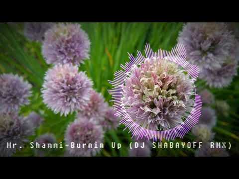 Mr.  Shammi - Burnin Up (DJ SHABAYOFF RMX)