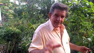 Colecionador de frutas Farias