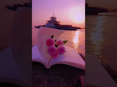 #travel #nasheeds #explore #allah #nature #sunset #beach #music #love