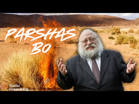 The Burning Bush Secret: Why Jews Are Indestructible