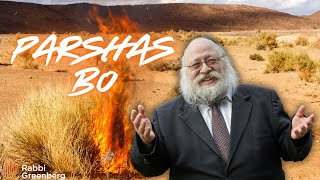 The Burning Bush Secret: Why Jews Are Indestructible
